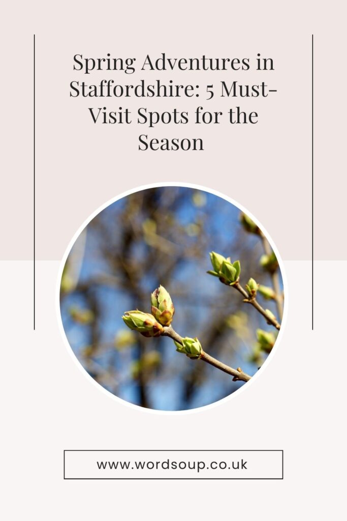 Discover Staffordshire this spring! From tranquil walks at the National Memorial Arboretum to thrilling rides at Alton Towers, it’s all waiting for you.